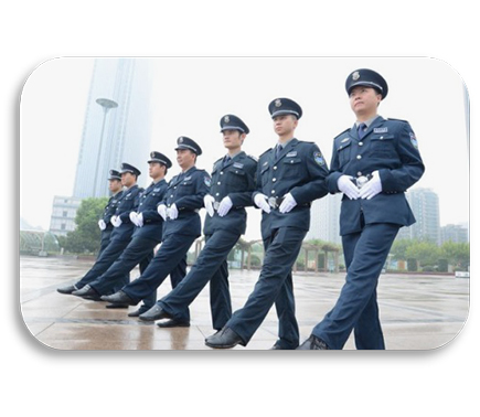 	一般护卫